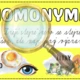 Jezevčí patrola - ANTONYMA, HOMONYMA, SYNONYMA 5