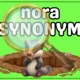 Jezevčí patrola - ANTONYMA, HOMONYMA, SYNONYMA 6