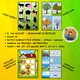 Activity book - pracovní listy "NA SUCHÁČ" 2