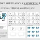 PÁROVÉ SOUHLÁSKY do kapsičky - slovní spojení 6