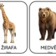 Výlet do zoo 2