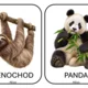 Výlet do zoo 3