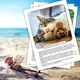Sada materiálů: Zajímavosti na nástěnku - světové dny celého roku 5