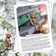 Sada materiálů: Zajímavosti na nástěnku - světové dny celého roku 6