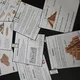 Flipbook - Mezopotámie 2