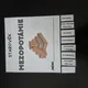 Flipbook - Mezopotámie 3
