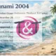Gramatická hra - Tsunami 2004 - Disaster - past simple - past continuous - game 2