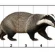 🐾 Zvířátkové skládačky – stříhej a skládej podle čísel 2