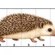 🐾 Zvířátkové skládačky – stříhej a skládej podle čísel 3