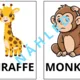 Flash cards 5
