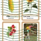 Podzimní flashcards 3