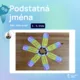 Podstatná jména - rod, číslo a pád 3