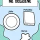 Portfolio (barevná a černobílá varianta) 3