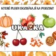 PODZIMNÍ STEZKA 4