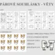 PÁROVÉ SOUHLÁSKY do kapsičky - věty 5