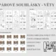 PÁROVÉ SOUHLÁSKY do kapsičky - věty 7