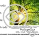 Nástěnka: chemie každého dne - výzdoba třídy 5