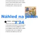 VYJMENOVANÁ SLOVA - PRAVOPISKY - NA MNOHO VYUČOVACÍCH HODIN 5