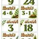 Násobilka 0-5 - Tajemství lesního řetězce 3