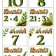 Násobilka 0-5 - Tajemství lesního řetězce 2