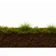 🍄 Houby – skládání podle předlohy | 16 předloh 2