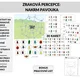 Zraková percepce: Nakrm pavouka 2