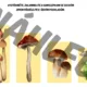 Kniha aktivit - podzim 7