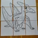 Zábavné aktivity s dinosaury + kooperativní omalovánky na 9 A4 2