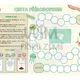 Cesta přírodopisem - opakovací desková hra 2