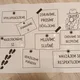 Výzdoba třídy - agenti, detektivové 4