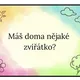 Seznamovací kartičky do MŠ 3