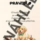TŘÍDNÍ PRAVIDLA - ŠTĚŇÁTKA 2