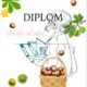 Diplomy 6