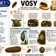 Hmyzí kolonie 3