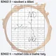 Desetinná čísla - BINGO 4v1 3