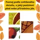 PODZIM - plotovka - stezka s 20 úkoly - PODZIMNÍ PLOTOVKA 2