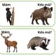 Mám, kdo má? 3