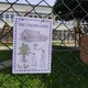 Stezka s ovečkou 5