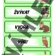 Vyjmenovaná slova – přehledy do třídy i na procvičování 10