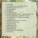 Lesní království – soubor aktivit 2