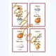 Autumn vocabulary - hry a aktivity 5