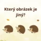 Podzimní plotovka 3