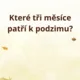 Podzimní plotovka 4