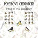 Pohybový chodníček - Ptáčci na podzim 4