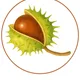 Chodníčky – podzim 3