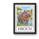 Zvířátka ze ZOO – obrázkové kartičky 3