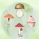 🍄🌲 MALÝ HOUBAŘ – OBJEVUJEME LES BEZPEČNĚ 🌲🍄 2