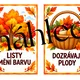 Podzimní nástěnka / Podzimní výzdoba / Podzim 2