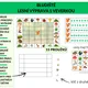 Bludiště: Lesní výprava s veverkou 2