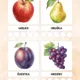 🍎 VELKÁ PODZIMNÍ SKLIZEŇ – OD SEMÍNKA AŽ DO KOŠÍKU 🎃🍐 2